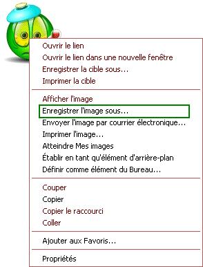 Enregistrer l'image sous